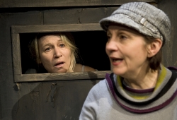 Gitarristerna Foto Stig Hammarstedt