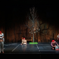 foto: Linnea Rheborg /Fotolinjen