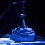 Rexia. Foto Stig Hammarstedt