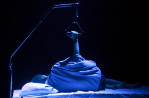 Rexia. Foto Stig Hammarstedt