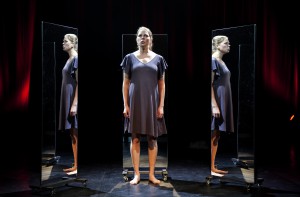 Rexia. Foto Stig Hammarstedt